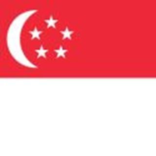 Flag-of-Singapore