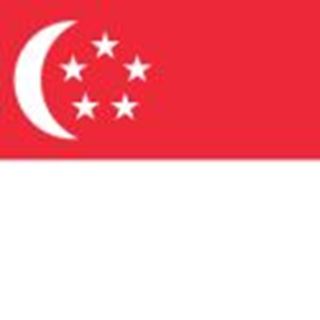 Flag-of-Singapore