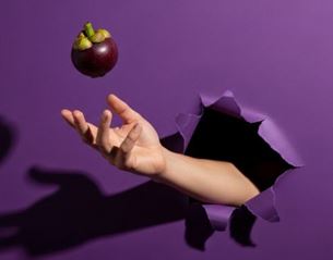 Hand emerging from torn purple background tossing a mangosteen in the air, graphic composition with shadow and contrasting color