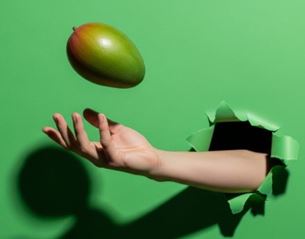 Hand emerging from green background tossing a mango in the air, minimalist scene with contrast between fruit and colored backdrop